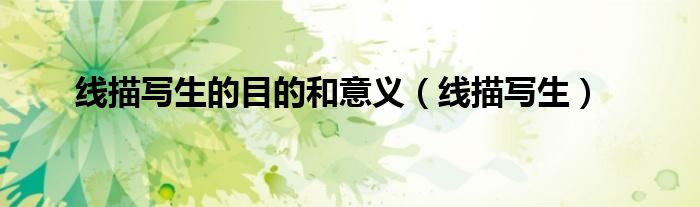 线描写生的目的和意义（线描写生）