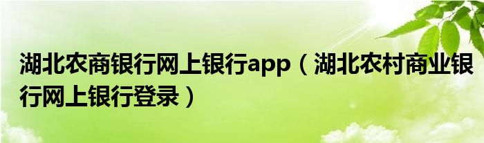 湖北农商银行网上银行app（湖北农村商业银行网上银行登录）