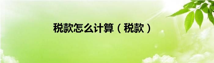 税款怎么计算（税款）