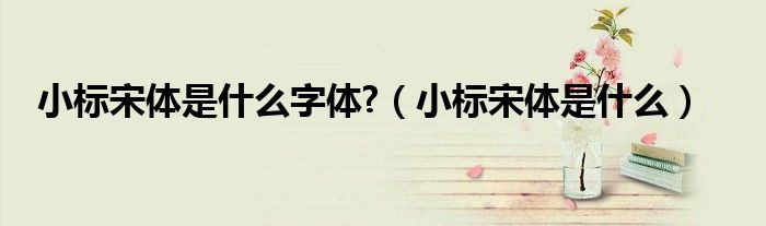 小标宋体是什么字体?（小标宋体是什么）