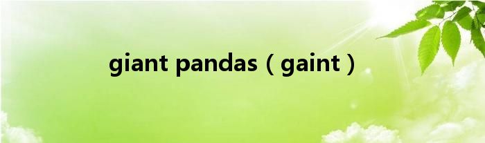 giant pandas（gaint）