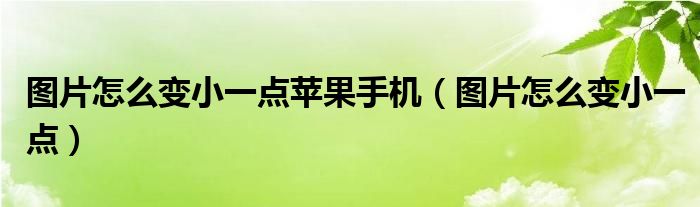 图片怎么变小一点苹果手机（图片怎么变小一点）