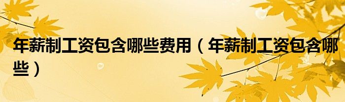 年薪制工资包含哪些费用（年薪制工资包含哪些）