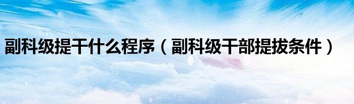 副科级提干什么程序（副科级干部提拔条件）