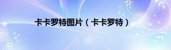卡卡罗特图片（卡卡罗特）