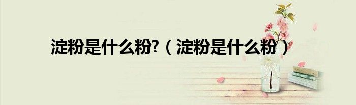 淀粉是什么粉?（淀粉是什么粉）
