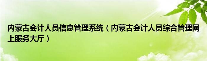 内蒙古会计人员信息管理系统（内蒙古会计人员综合管理网上服务大厅）