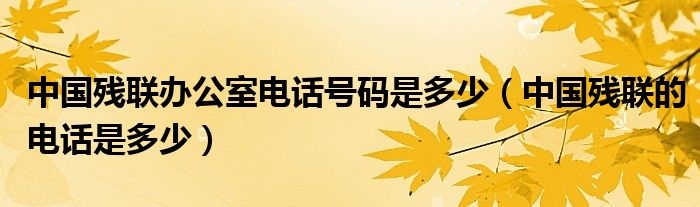中国残联办公室电话号码是多少（中国残联的电话是多少）