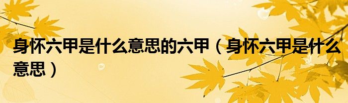 身怀六甲是什么意思的六甲（身怀六甲是什么意思）