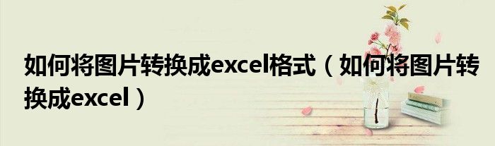 如何将图片转换成excel格式（如何将图片转换成excel）