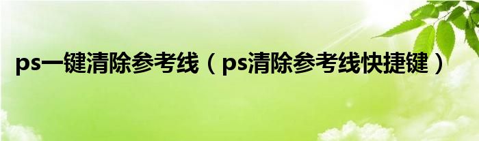 ps一键清除参考线（ps清除参考线快捷键）