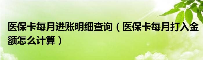 医保卡每月进账明细查询（医保卡每月打入金额怎么计算）