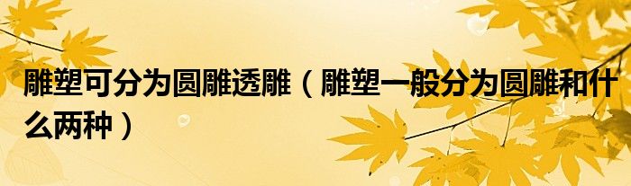 雕塑可分为圆雕透雕（雕塑一般分为圆雕和什么两种）