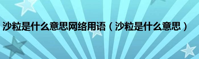 沙粒是什么意思网络用语（沙粒是什么意思）