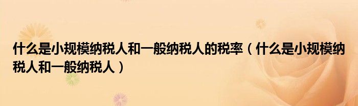 什么是小规模纳税人和一般纳税人的税率（什么是小规模纳税人和一般纳税人）