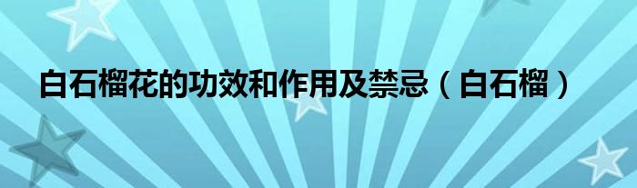 白石榴花的功效和作用及禁忌（白石榴）