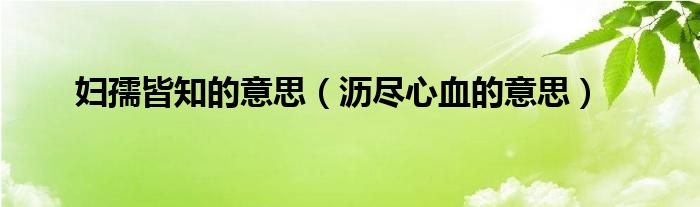 妇孺皆知的意思（沥尽心血的意思）