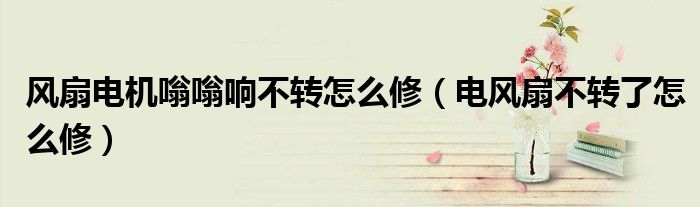 风扇电机嗡嗡响不转怎么修（电风扇不转了怎么修）