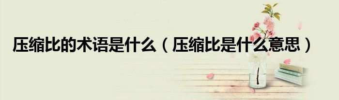 压缩比的术语是什么（压缩比是什么意思）