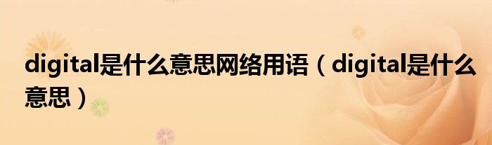 digital是什么意思网络用语（digital是什么意思）