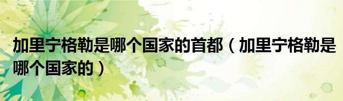 加里宁格勒是哪个国家的首都（加里宁格勒是哪个国家的）