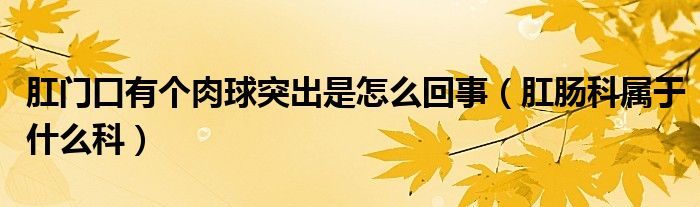 肛门口有个肉球突出是怎么回事（肛肠科属于什么科）