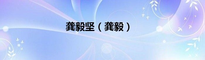 龚毅坚（龚毅）