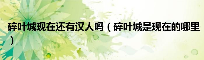 碎叶城现在还有汉人吗（碎叶城是现在的哪里）