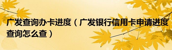 广发查询办卡进度（广发银行信用卡申请进度查询怎么查）