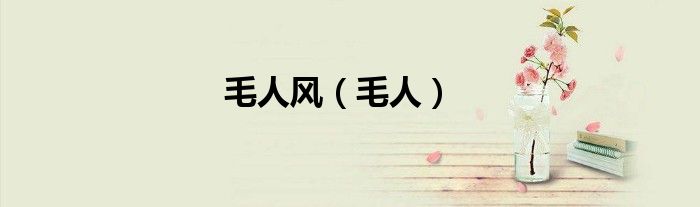 毛人风（毛人）