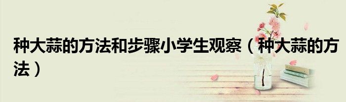 种大蒜的方法和步骤小学生观察（种大蒜的方法）