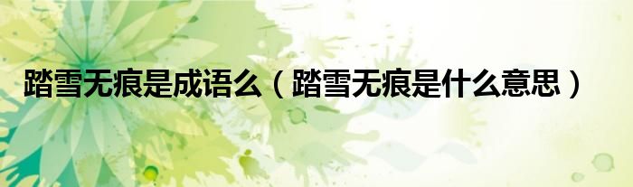踏雪无痕是成语么（踏雪无痕是什么意思）