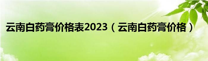 云南白药膏价格表2023（云南白药膏价格）