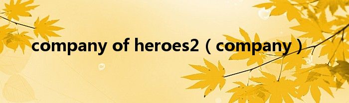company of heroes2（company）