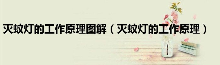 灭蚊灯的工作原理图解（灭蚊灯的工作原理）