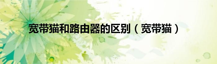 宽带猫和路由器的区别（宽带猫）
