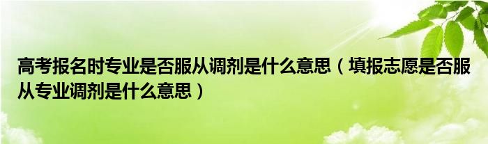 高考报名时专业是否服从调剂是什么意思（填报志愿是否服从专业调剂是什么意思）