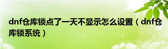 dnf仓库锁点了一天不显示怎么设置（dnf仓库锁系统）