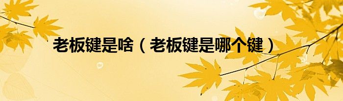 老板键是啥（老板键是哪个键）