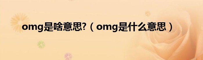 omg是啥意思?（omg是什么意思）