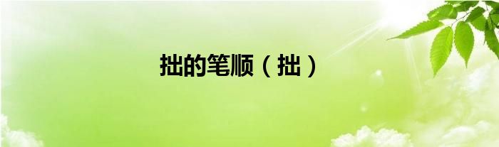 拙的笔顺（拙）