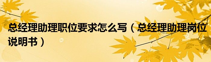 总经理助理职位要求怎么写（总经理助理岗位说明书）