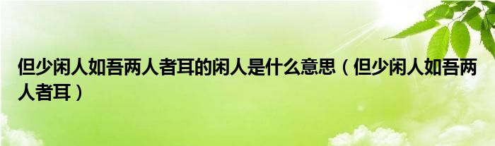 但少闲人如吾两人者耳的闲人是什么意思（但少闲人如吾两人者耳）