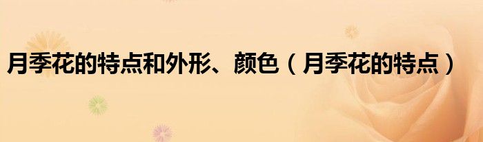 月季花的特点和外形、颜色（月季花的特点）