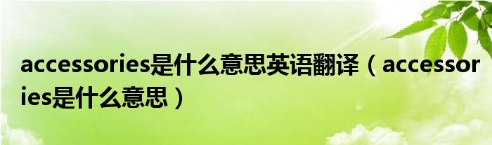 accessories是什么意思英语翻译（accessories是什么意思）