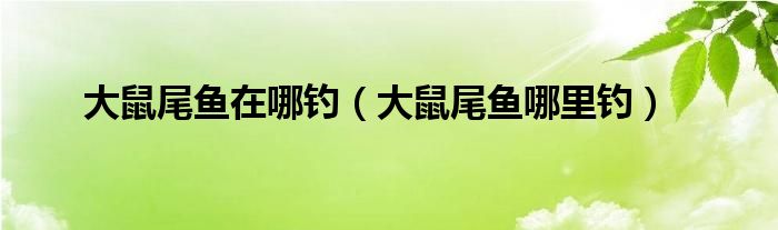 大鼠尾鱼在哪钓（大鼠尾鱼哪里钓）