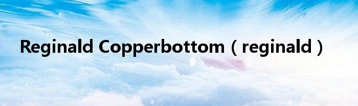 Reginald Copperbottom（reginald）