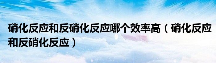 硝化反应和反硝化反应哪个效率高（硝化反应和反硝化反应）