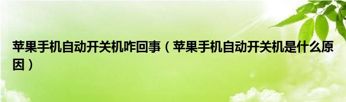 苹果手机自动开关机咋回事（苹果手机自动开关机是什么原因）