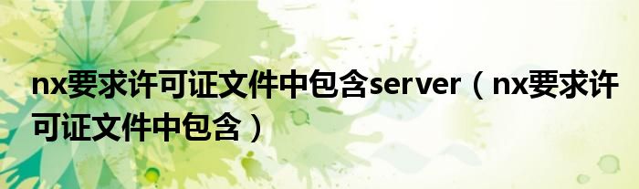 nx要求许可证文件中包含server（nx要求许可证文件中包含）